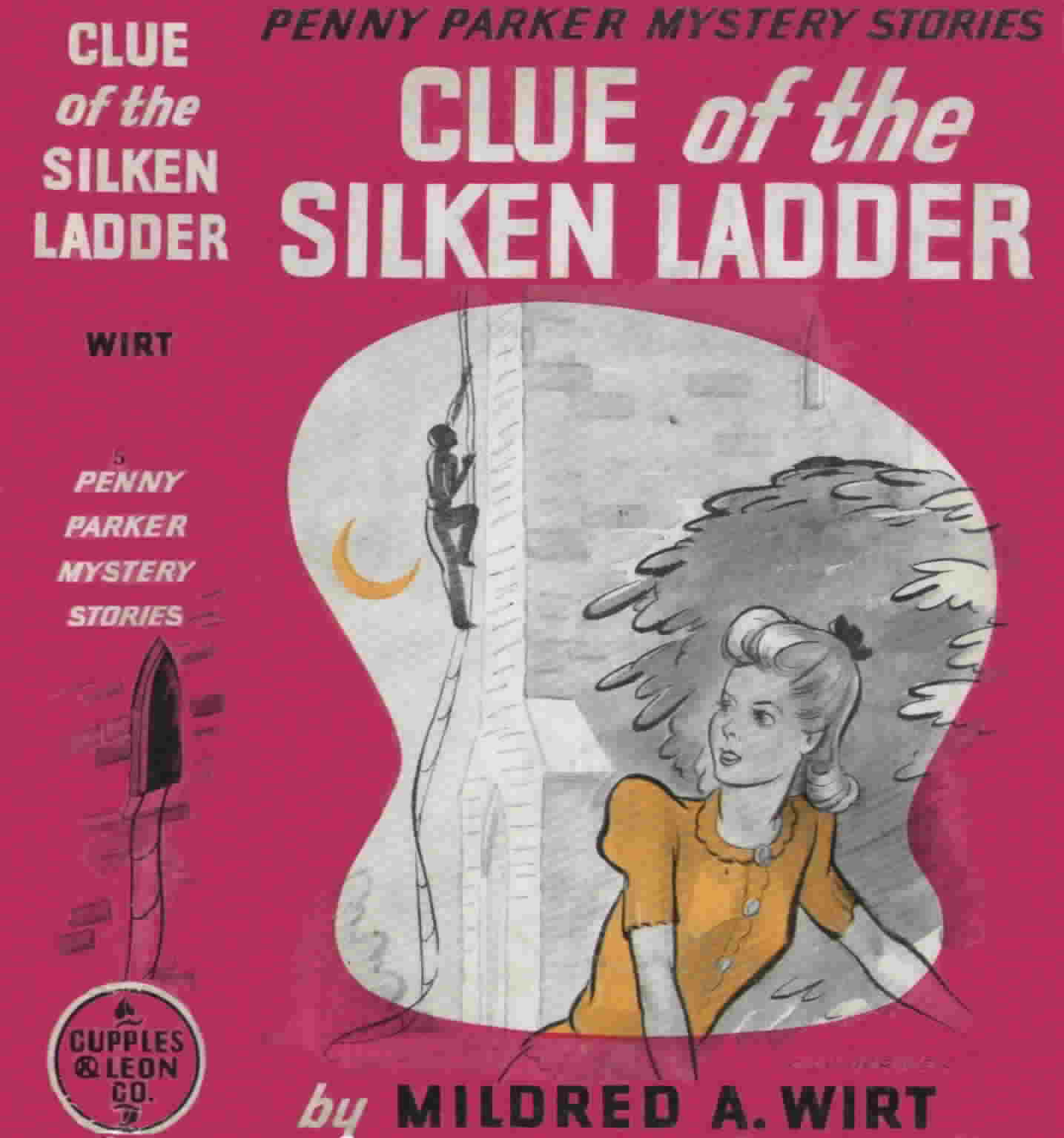 Clue of the Silken Ladder