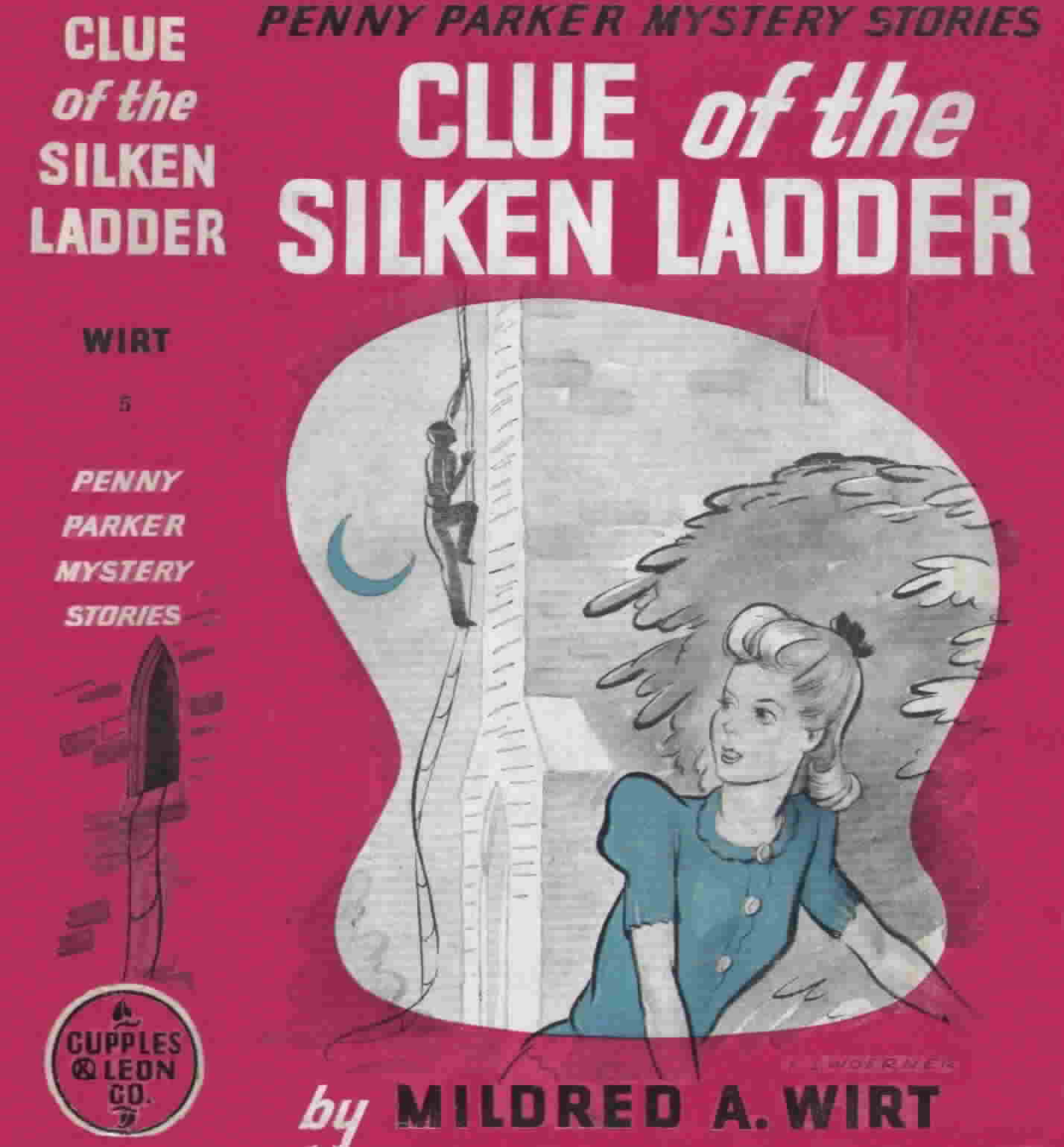 Clue of the Silken Ladder