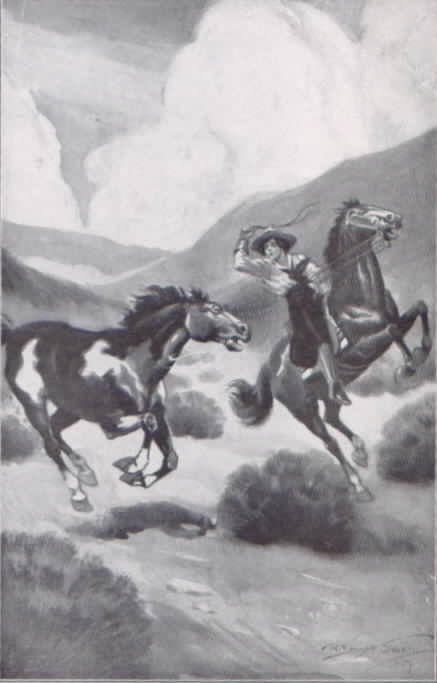 Ruth Fielding in the Saddle