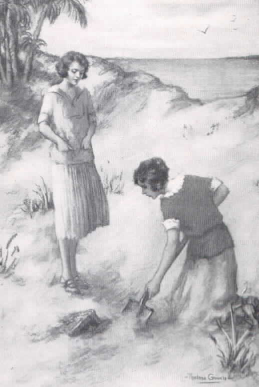 Ruth Fielding Treasure Hunting