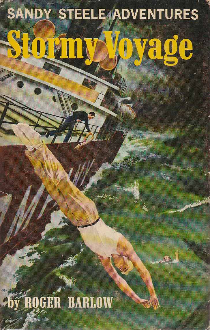 Stormy Voyage