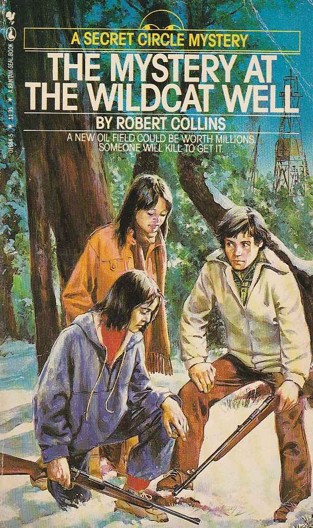 The Mystery at the Wildcat Well