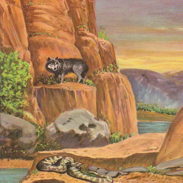 The Diamond Cave Mystery