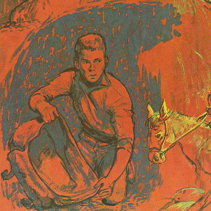 The Forest Fire Mystery