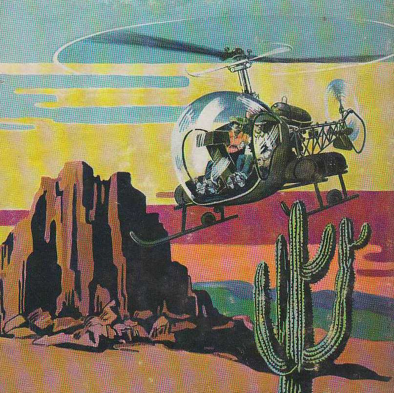 Search in the Desert